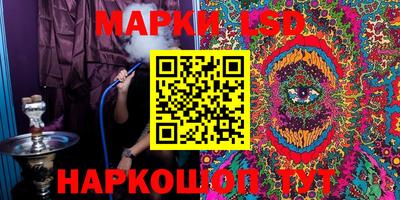 mdpv Бердск