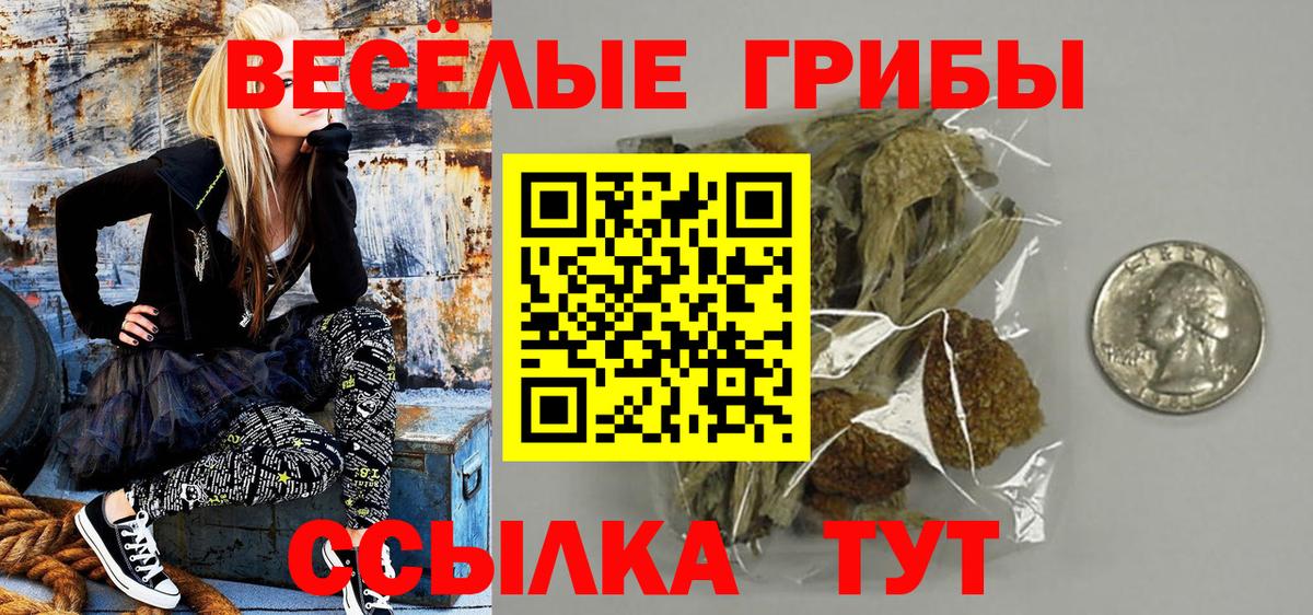 Галлюциногенные грибы мицелий Бузулук
