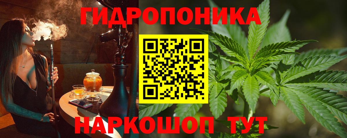 Шишки марихуана конопля  Канабис White Widow  Бузулук  Вход с VPN  Бошки марихуана индика  Конопля семена 
